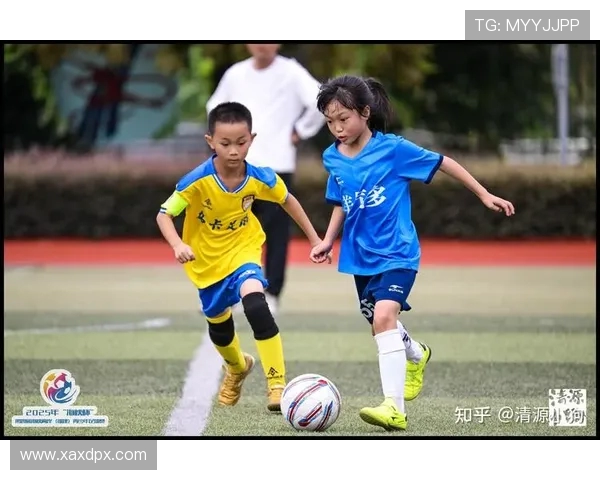 体育赛事推动青少年足球人口增长的因果律